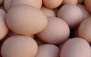 一盘鸡蛋大约几斤
，一盘鸡蛋大约几斤多少钱